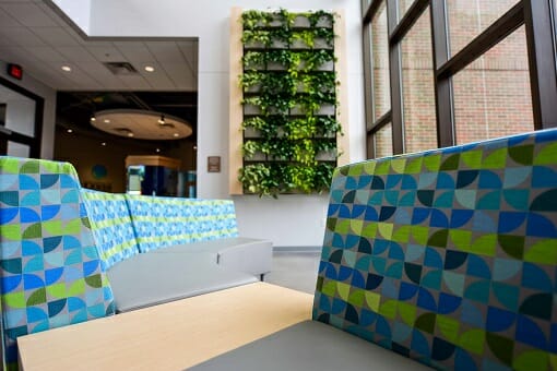 colorful office sofas with living wall